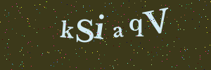 Validation image