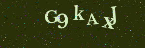 Validation image